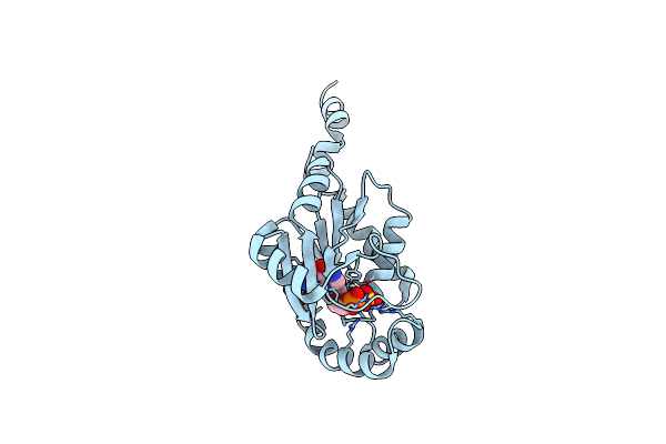 2ANB image