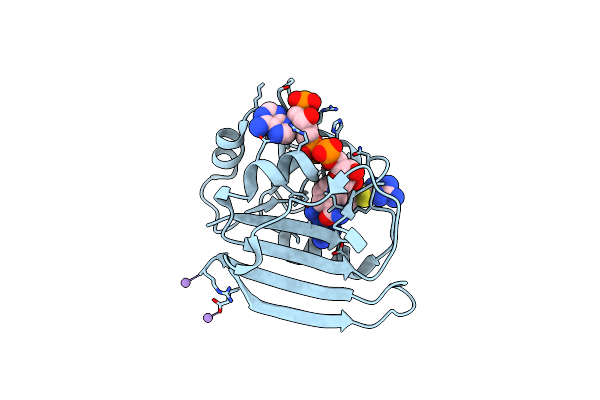 2ANQ image