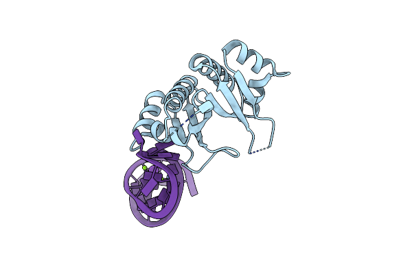 2ANR image