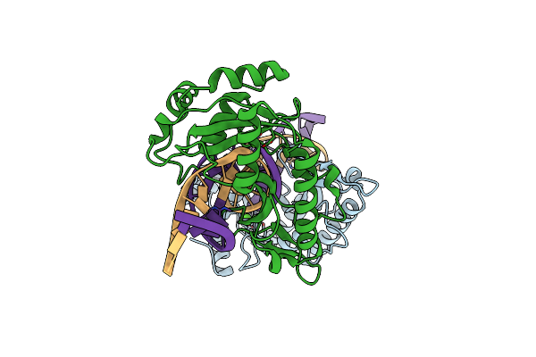 2AOR image