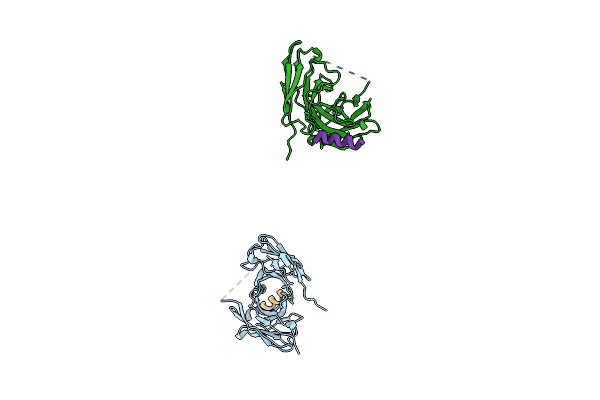 2AP2 image