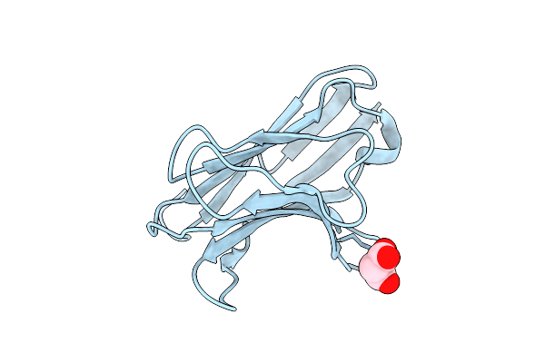 2APF image