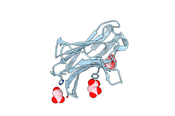 2APV image