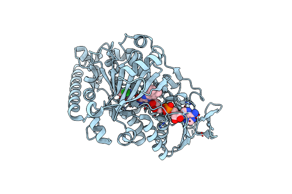 2AR8 image