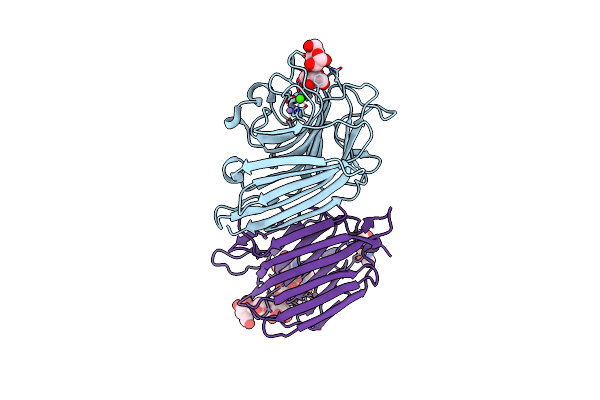 2ARX image