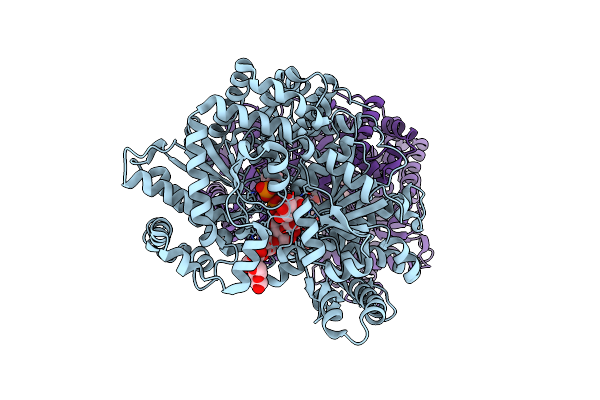 2ASV image
