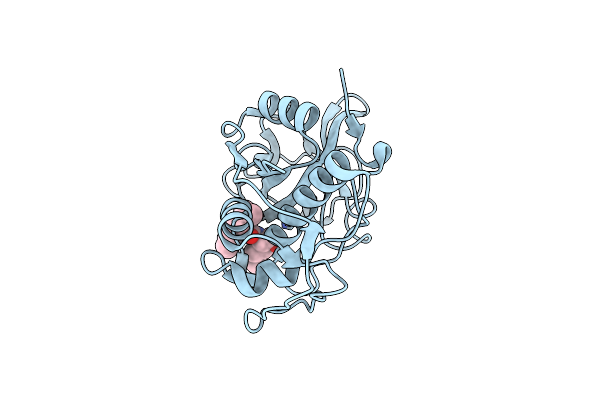 2AUX image