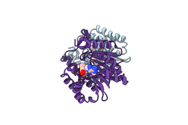 2AVD image