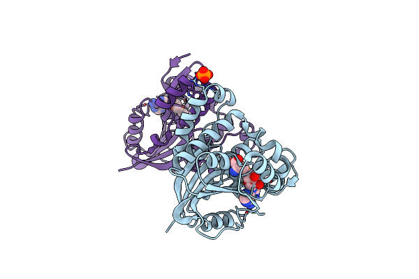 2AVN image