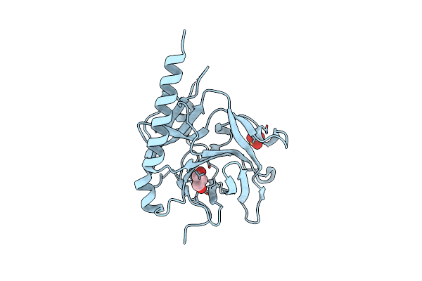 2AXC image