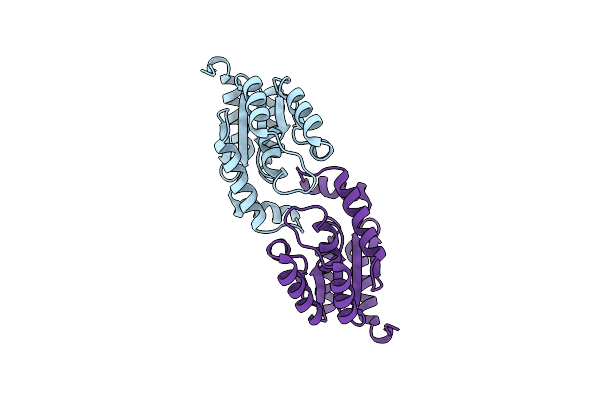 2AXP image