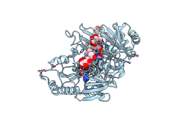 2AXR image