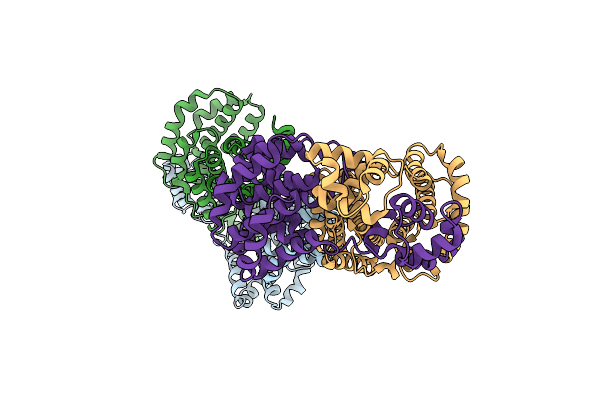 2AXV image