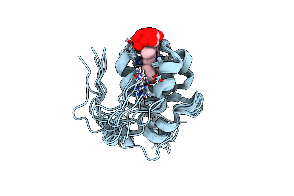 2AXX image