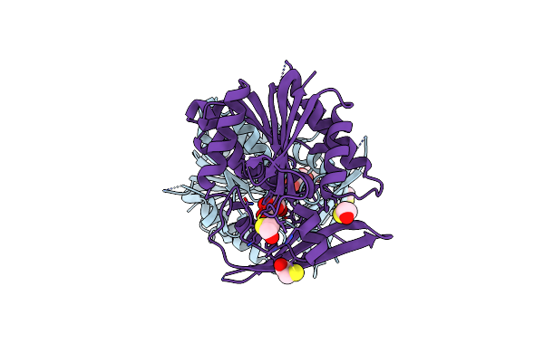2AZT image