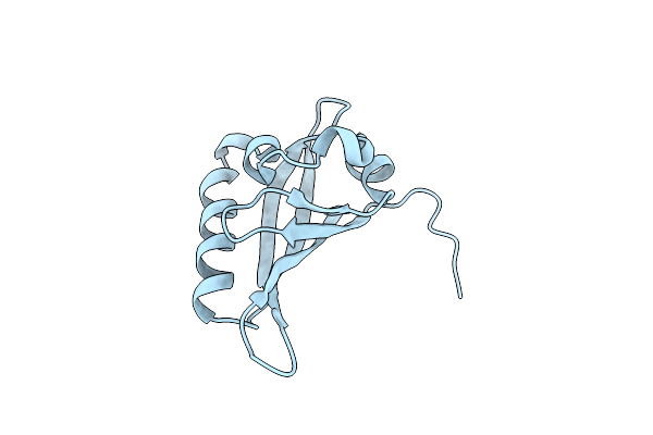 2B02 image
