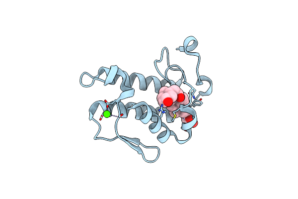 2B03 image