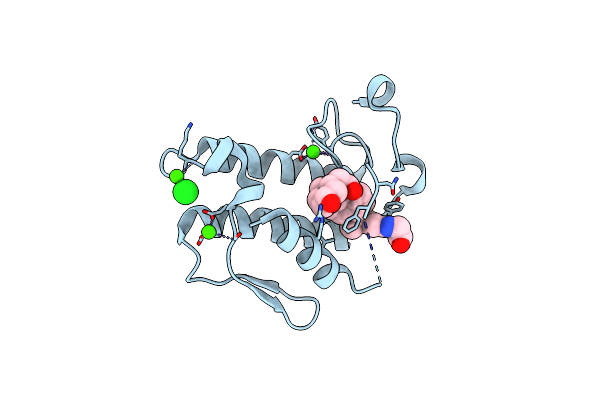 2B04 image