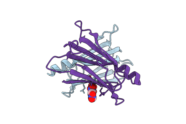 2B14 image