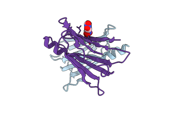 2B16 image