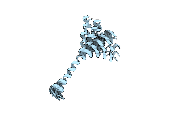 2B19 image