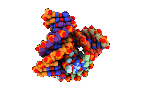 2B1D image