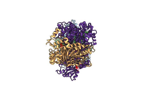 2B1G image