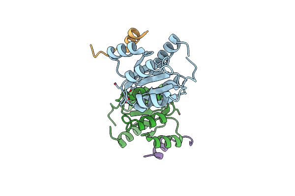 2B1J image