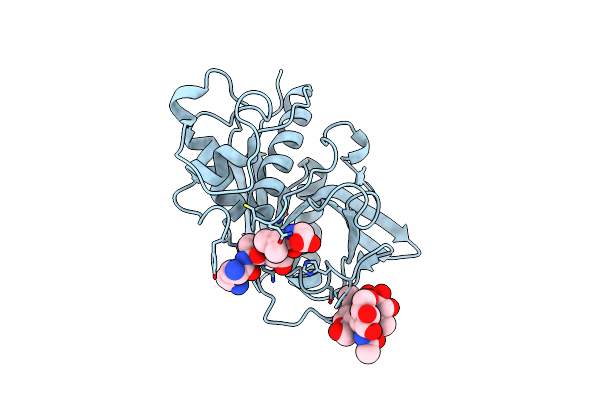 2B1N image