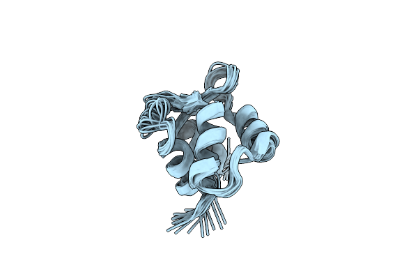 2B1U image