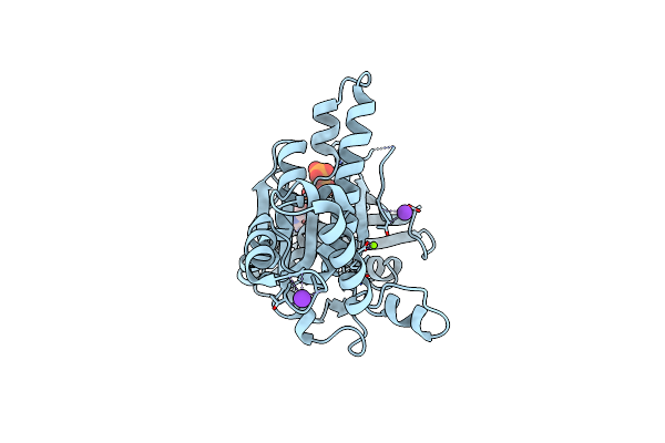2B21 image