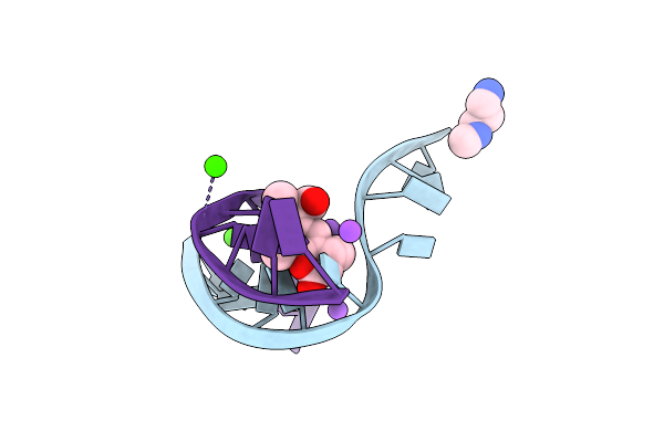 2B2B image