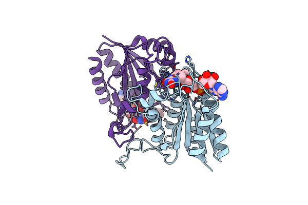2B3D image