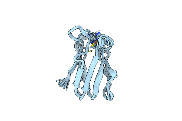 2B3I image
