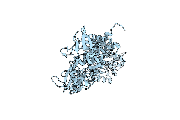 2B3O image