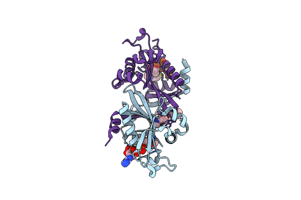 2B4B image