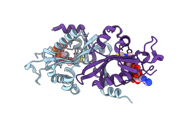 2B4D image