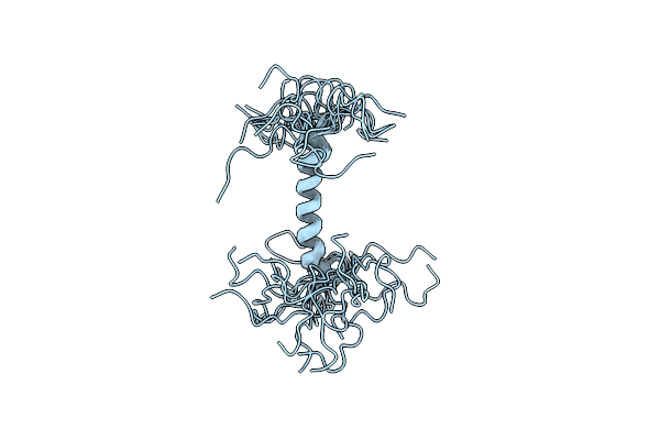 2B4N image