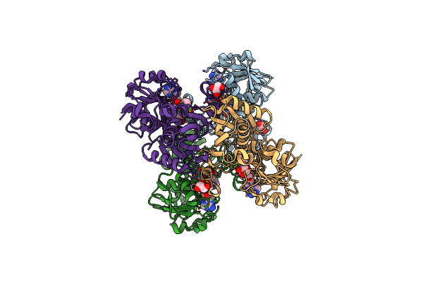 2B4R image