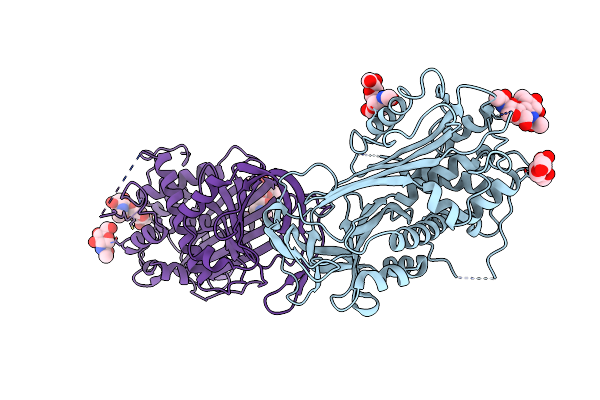 2B4X image