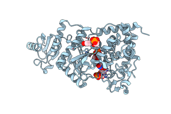 2B56 image