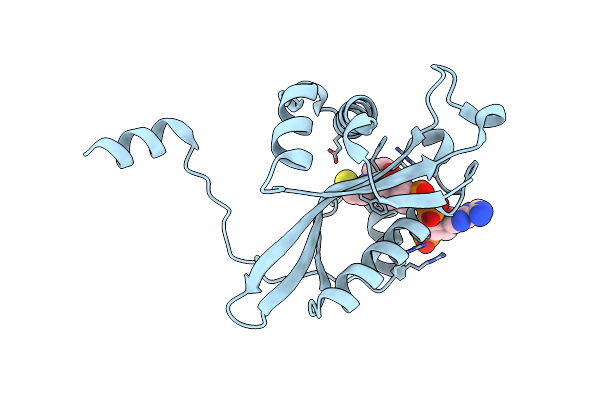 2B58 image