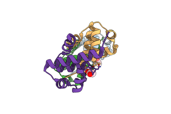 2B5A image