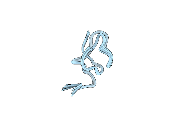2B5B image
