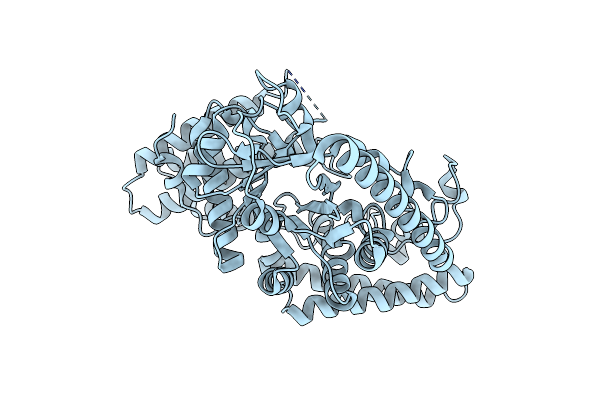 2B5D image
