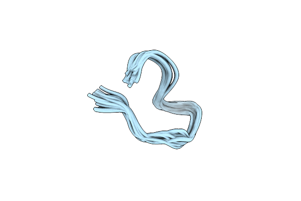 2B5P image