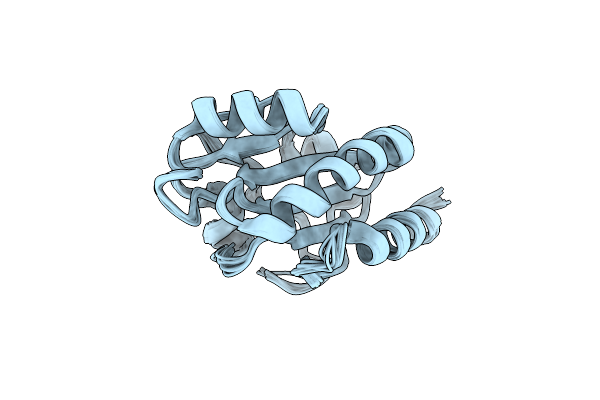 2B5X image