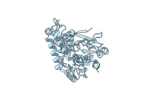 2B61 image