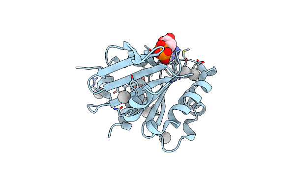 2B6H image