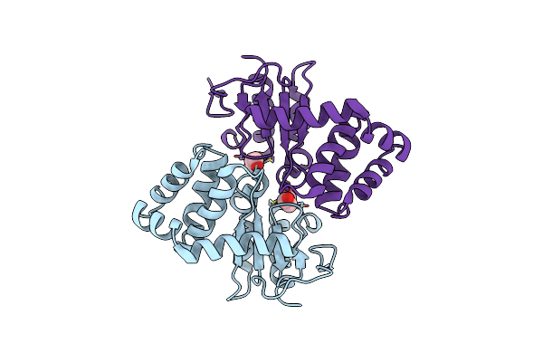 2B6M image